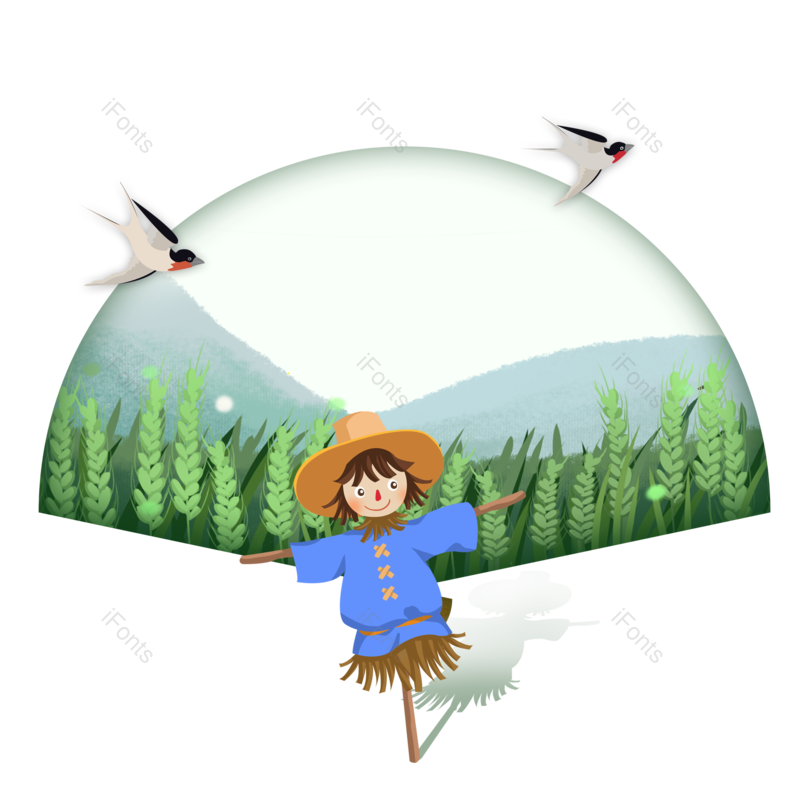 小满图片,清新元素,麦穗PNG,装饰元素免抠素材